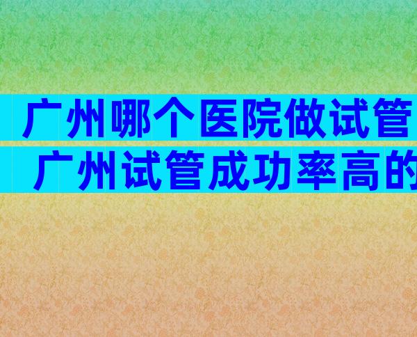 广州哪个医院做试管 广州试管成功率高的医院